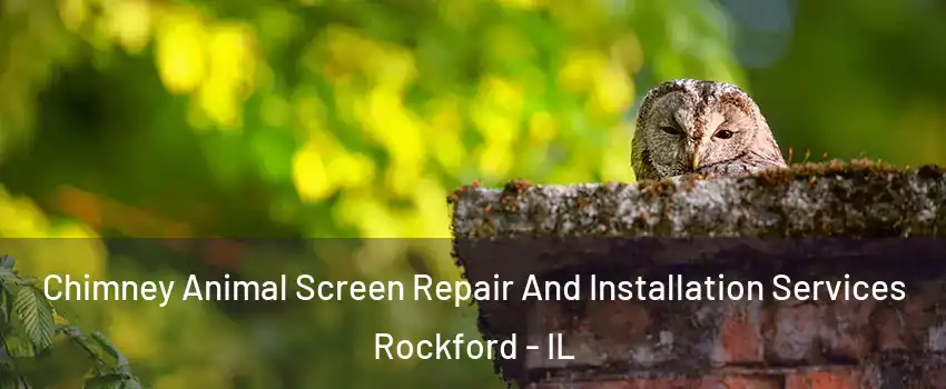  Chimney Animal Screen Repair And Installation Services Rockford - IL