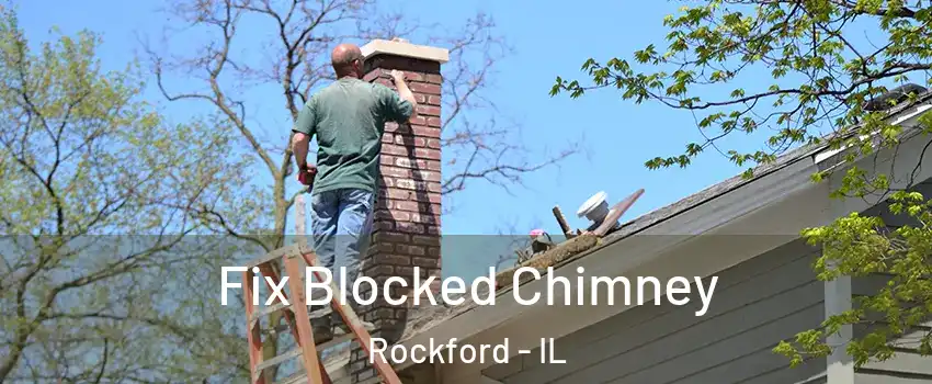  Fix Blocked Chimney Rockford - IL