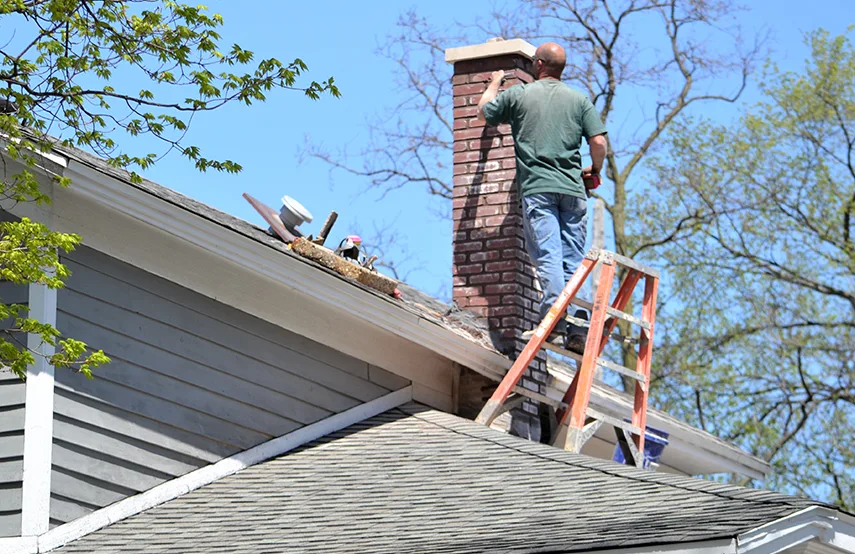 Chimney & Fireplace Inspections Services in Rockford, IL