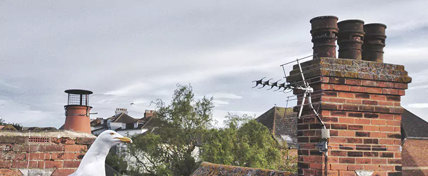 Chimney Cleaning And Restoration in Rockford, Illinois