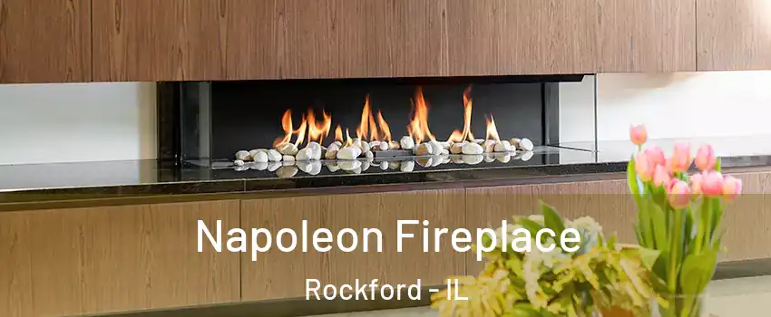  Napoleon Fireplace Rockford - IL